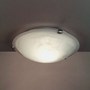 Petri Plafond