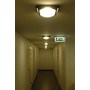 City Væg/Loftlampe
