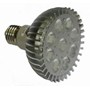 LED PAR30
